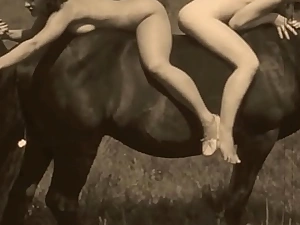 vintage pussy porn pooch